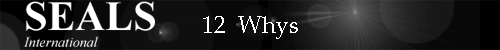 12  Whys