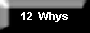 12  Whys