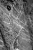 Img0009.jpg (25473 bytes)