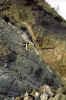 Img0014.jpg (24460 bytes)