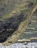 P0018.jpg (29806 bytes)